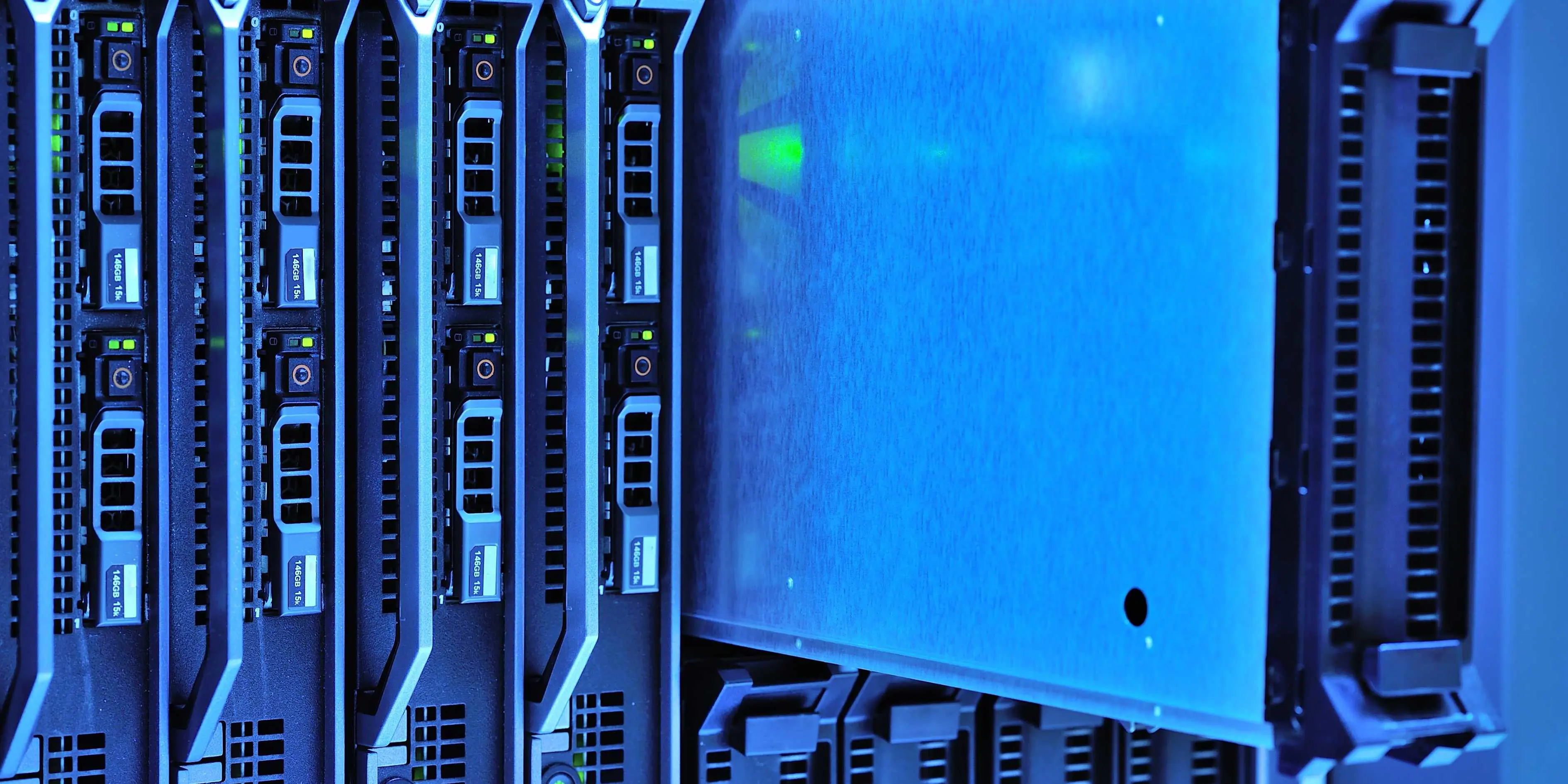 What Is Web Hosting vs Domain?